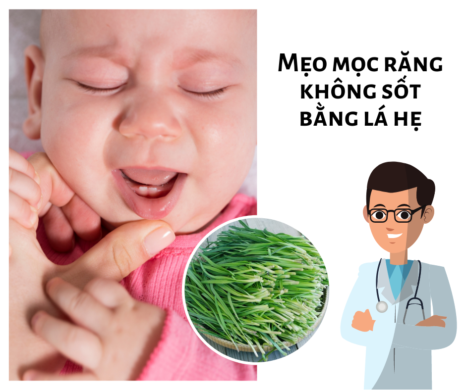 Chia sẻ mẹo mọc răng không sốt bằng lá hẹ vô cùng hiệu quả