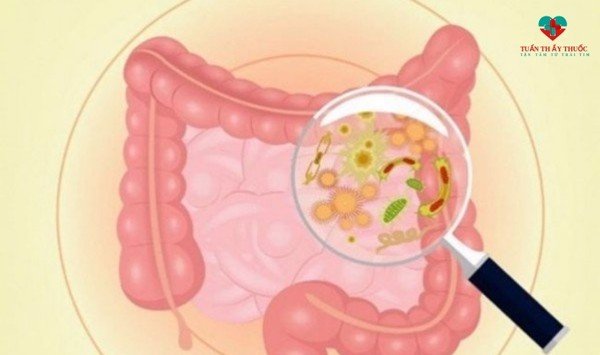 CÓ NÊN CHO TRẺ UỐNG CỐM VI SINH THƯỜNG XUYÊN HAY KHÔNG?