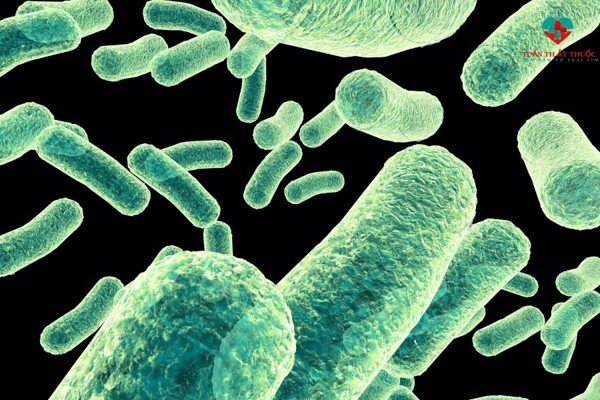 MEN 10 CHỦNG LÀ GÌ? MEN 10 CHỦNG CÓ LỢI ÍCH GÌ ĐỐI VỚI TRẺ?
