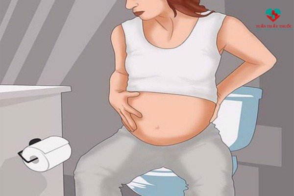 Nguyên nhân gây rối loạn tiêu hóa cho bà bầu là gì?