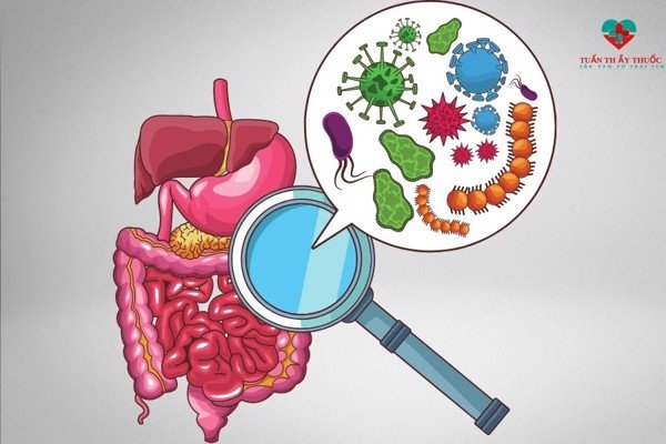 Điều trị nhiễm khuẩn đường ruột, thuốc nhiễm khuẩn đường ruột cho trẻ