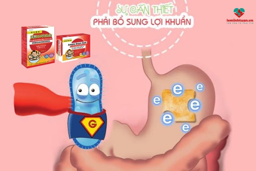 Phương pháp bổ sung lợi khuẩn cho người lớn từ chuyên gia dinh dưỡng