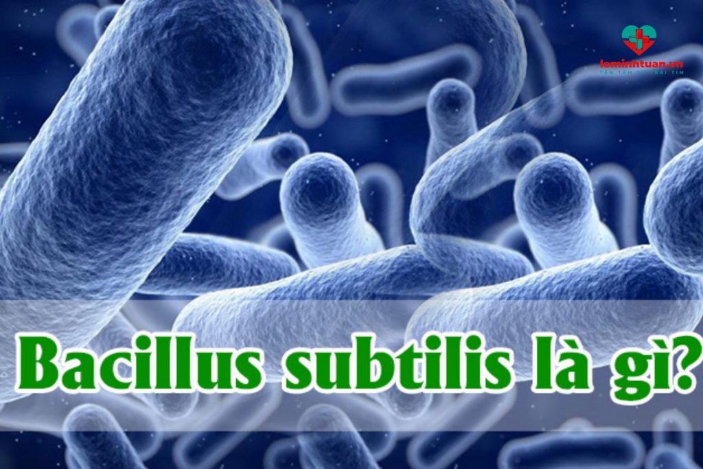 Bacillus Clausii là một loại vi khuẩn có lợi đến sức khỏe của con người. Điều này cho rằng, hình ảnh liên quan đến Bacillus Clausii có thể mang đến cho bạn thông tin quý giá về sự tăng cường sức khỏe và sự tăng cường hệ miễn dịch. Nếu bạn quan tâm đến vi khuẩn này, hãy xem hình ảnh liên quan.