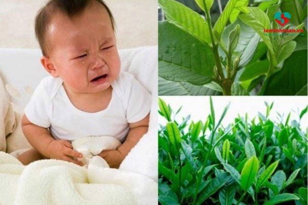 Mẹo dân gian trị rối loạn tiêu hóa ở trẻ sơ sinh-Chia sẻ từ chuyên gia
