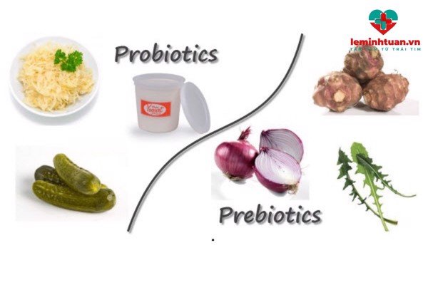 Prebiotic là gì? Vai trò Prebiotic đối với hệ tiêu hóa của trẻ