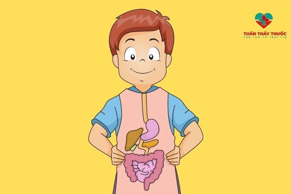 Thuốc enzym có tác dụng gì với trẻ? Thuốc enzym của Nhật có tốt không?